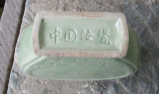 怎样养汝瓷（汝瓷养好要多长时间）