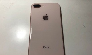 怎么验证苹果是不是全新未使用（怎么验证苹果是不是全新机）