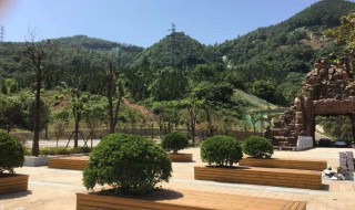 武汉最高的山是哪一座(武汉最高的山是哪座山)