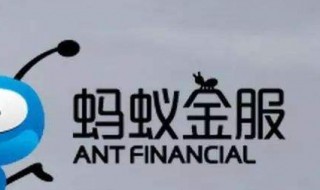 蚂蚁金融是什么（蚂蚁微贷是什么）