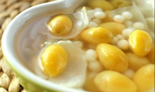 白果的功效及食用方法（白果的功效及食用方法及禁忌）