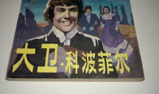 大卫科波菲尔故事梗概（大卫科波菲尔读后感）