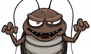 肥皂水真的可以杀蟑螂吗 肥皂水消灭蟑螂管用吗