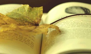 三体这本书具体讲什么的 三体这本书具体讲什么的故事