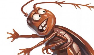 除蟑螂小妙招(祛除蟑螂最有效的小妙招)