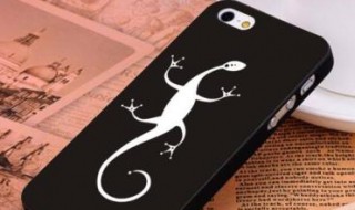 手机壳有异味有毒吗(新买的手机壳有异味有毒吗)