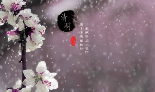 清明时节雨纷纷这首这个批注怎么做 清明时节雨纷纷课文