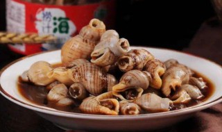 海螺狮怎么吃不断 海螺蛳肉怎么才能出来