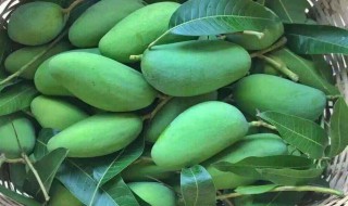 大青芒果营养价值高吗（大青芒果营养价值高吗能吃吗）