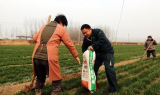 复合肥能抛洒在地面上施肥吗? 复合肥能抛洒在地面上施肥吗