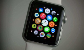 苹果手机的数据开关在哪里 苹果手机的数据开关在哪里设置