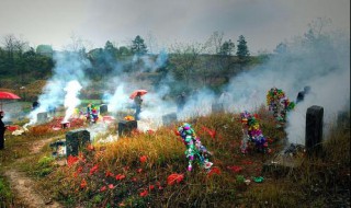 已故亲人坟头草很旺盛可以除草么（先人坟头草除好吗）