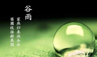 2020年谷雨节气的说法（2020年谷雨节是几月几日）
