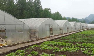 冷棚晚上怎么保温（冷棚晚上怎么保温最好）