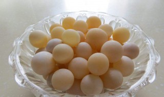 甲鱼蛋怎么孵化 甲鱼蛋怎样人工孵化