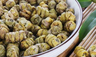 石斛是寒性的吗石斛的功效与作用（石斛是寒性的吗石斛的功效与作用是什么）