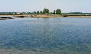 小龙虾养殖池怎么建 小龙虾养殖池塘怎么建