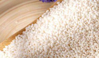 江米的功效与作用价值 江米的功效与作用价值是什么