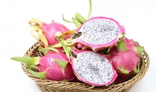 白芯火龙果的功效与作用（白心火龙果的药用价值）