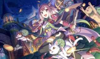 藏猫队可以进攻吗 藏猫队阵容配置