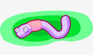 蚯蚓钓鱼最好季节 蚯蚓适合什么时候钓鱼