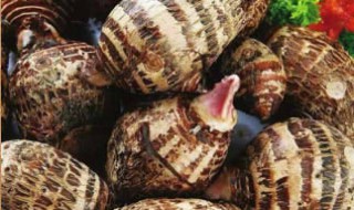 芋头几天浇一次水 芋头几天浇一次水好