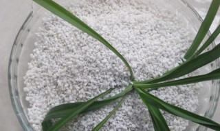 珍珠岩栽花起什么作用 珍珠岩栽花起什么作用呢