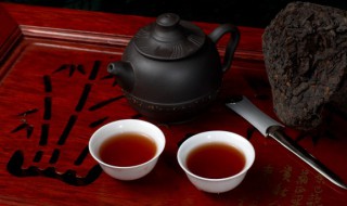 四季青茶包的功效与作用（四季青茶包的功效与作用是什么）