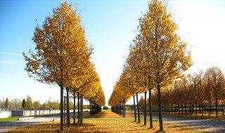 西方国家的季节划分（西方国家四季划分）