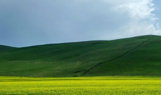 春天是充满希望的季节祝福语（春天是个充满希望的季节）