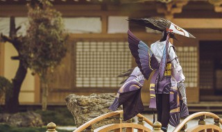 有姑获鸟还要鬼使黑吗(有姑获鸟还需要上雪女吗)