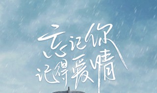 忘记你记得爱情每周什么时候播 忘记你记得爱情什么台播出