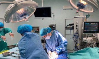 人工肺的作用是什么 人工肺的作用是什么