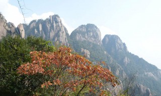 五岳的故事(五岳的故事传说)