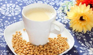 雪燕炖什么时候吃最好 雪燕炖什么时候吃最好喝