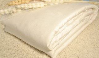 桑蚕丝被的洗涤方法（如何清洗蚕丝被）