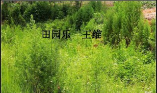 田园乐其四古诗中提到的季节有什么（田园乐其四提到的植物有）