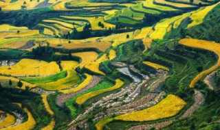 明年六月份是什么季节 明年6月份是什么季节