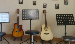 十岁学什么乐器比较合适 十岁的孩子适合学什么乐器