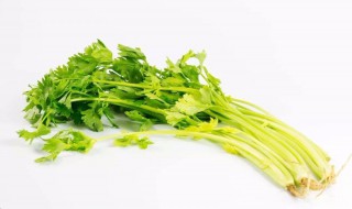 芹菜怎么种植在家 芹菜应该怎么种植