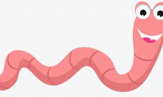 蚯蚓怎么养才好 红蚯蚓在家里怎么养好