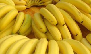 无种子植物有哪些? 无种子植物有哪些植物