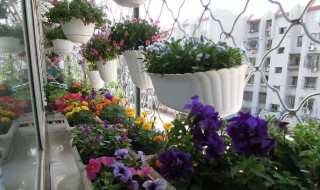 养花的土什么样的好（养花的土什么样的好用）