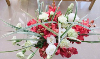 玫瑰插花养护要点（玫瑰插花养护要点）