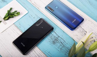 vivoz5x频繁黑屏怎么回事 vivoz5x为什么老是黑屏