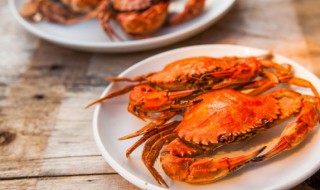 珍宝蟹是什么样子（珍宝蟹特征）