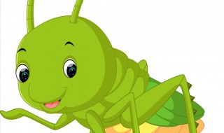 蝗虫蜕变有什么特点(蝗虫蜕变的过程是怎样的)