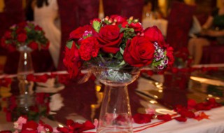 怎么把花保存多久（如何将花保存久一点）