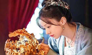 清平乐张妼晗生过几个孩子（清平乐张妼晗生了男孩还是女孩）