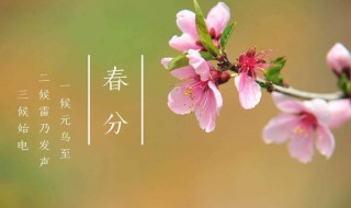 春分节气简介（春分节气的特点是什么）